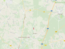heide-tourschweine